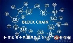 如何使用小狐狸钱包支付USDT：全面指南