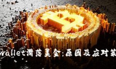 tpwallet滑落美金：原因及应