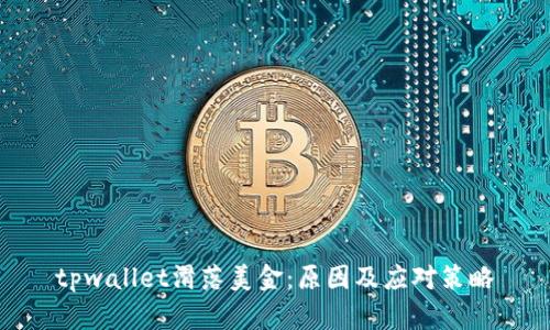 tpwallet滑落美金：原因及应对策略