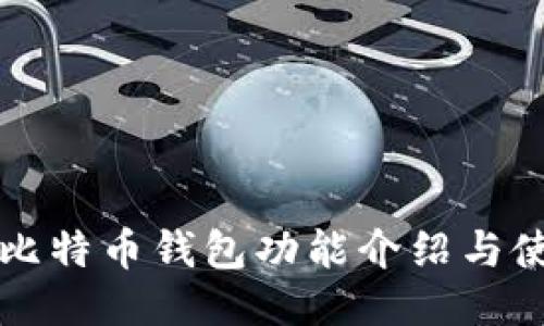 龙网的比特币钱包功能介绍与使用指南