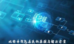 比特币钱包丢失的原因与解决方案