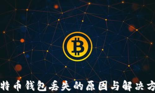 
比特币钱包丢失的原因与解决方案
