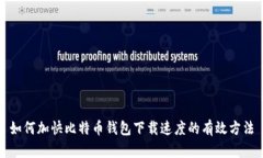 如何加快比特币钱包下载