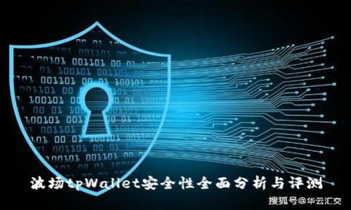 波场tpWallet安全性全面分析与评测