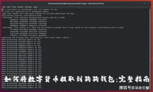 如何将数字货币提取到狗狗钱包：完整指南