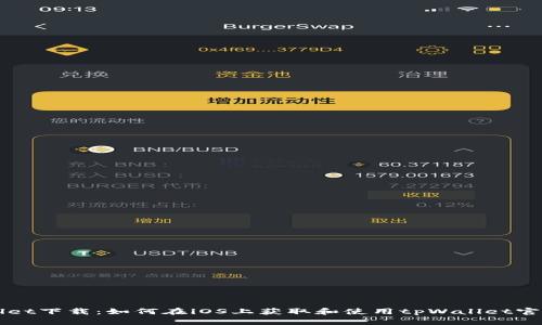 tpWallet下载：如何在iOS上获取和使用tpWallet官方应用