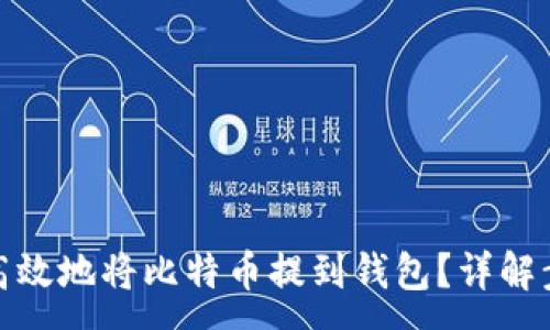 :
如何安全高效地将比特币提到钱包？详解步骤与建议