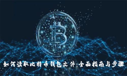 如何读取比特币钱包文件：全面指南与步骤