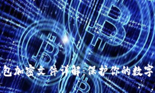 比特币钱包加密文件详解：保护你的数字资产安全