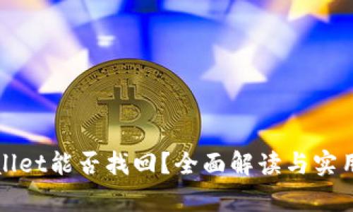 tpWallet能否找回？全面解读与实用指南