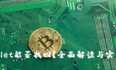 tpWallet能否找回？全面解读