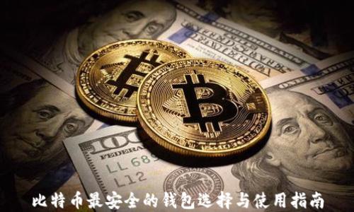
比特币最安全的钱包选择与使用指南
