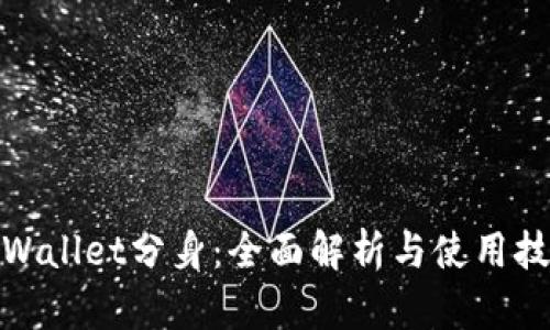tpWallet分身：全面解析与使用技巧