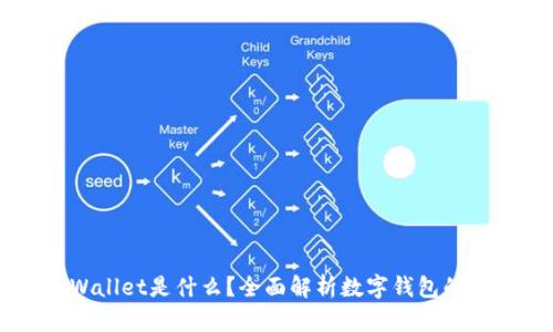 币圈TPWallet是什么？全面解析数字钱包的发展趋势