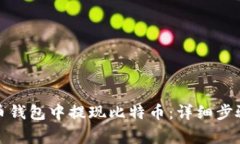 如何在雷达币钱包中提现