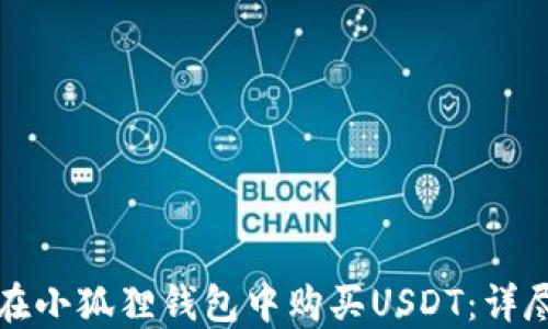 
如何在小狐狸钱包中购买USDT：详尽指南