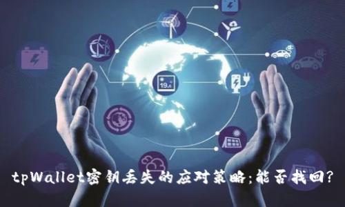 tpWallet密钥丢失的应对策略：能否找回?