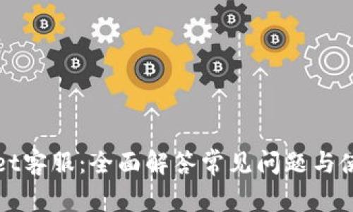 tpWallet客服：全面解答常见问题与使用技巧