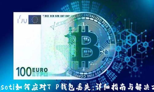 
biasoti如何应对T P钱包丢失：详细指南与解决方案
