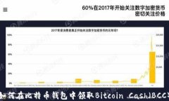 如何在比特币钱包中领取