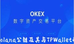深入了解Solana公链及其与