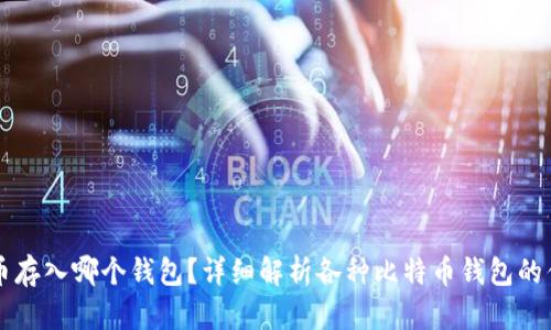比特币存入哪个钱包？详细解析各种比特币钱包的优缺点