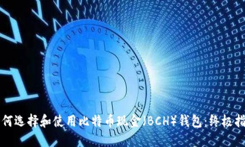 如何选择和使用比特币现金（BCH）钱包：终极指南