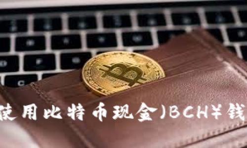 如何选择和使用比特币现金（BCH）钱包：终极指南