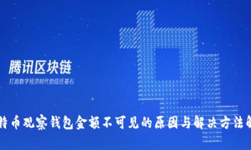 比特币观察钱包金额不可见的原因与解决方法解析