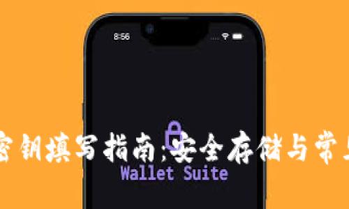 tpWallet密钥填写指南：安全存储与常见错误解析