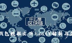 比特币钱包数据文件（.dat）解析与使用指南