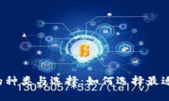 比特币钱包的种类与选择
