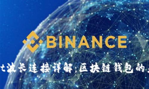 tpWallet波长连接详解：区块链钱包的未来技术