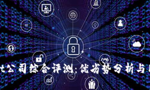 tpWallet公司综合评测：优劣势分析与用户体验