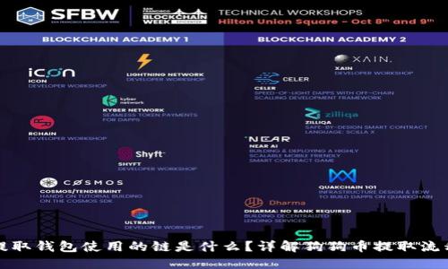 狗狗币提取钱包使用的链是什么？详解狗狗币提取流程与选择