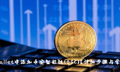 如何在tpWallet中添加币安智能链(BSC)？详细步骤与常见问题解析
