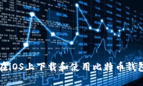 如何在iOS上下载和使用比特币钱包应用