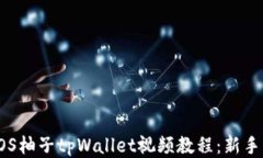 如何下载EOS柚子tpWallet视频