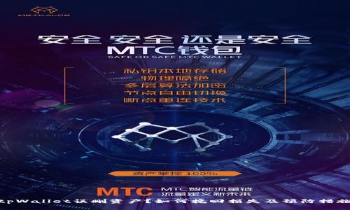 tpWallet误删资产？如何挽回损失及预防措施