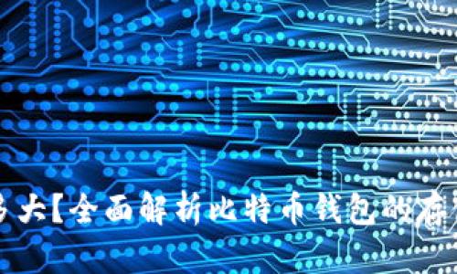 比特币钱包内存多大？全面解析比特币钱包的存储需求与管理技巧