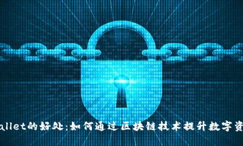 ### tpWallet的好处：如何通过区块链技术提升数字资产管理效率