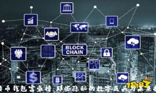 
揭秘比特币钱包富豪榜：那些隐秘的数字巨头与未来投资机会