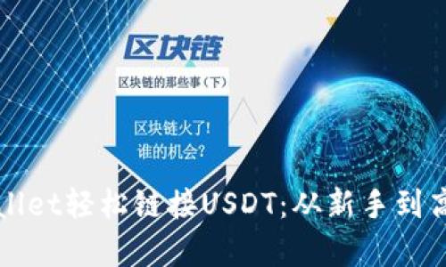 如何通过tpWallet轻松链接USDT：从新手到高手的完整指南