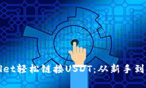 如何通过tpWallet轻松链接USDT：从新手到高手的完整指南