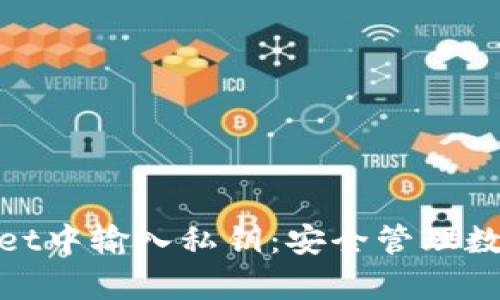 如何在tpWallet中输入私钥：安全管理数字资产的关键