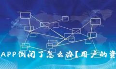 比特币钱包APP倒闭了怎么