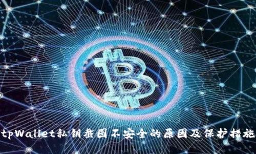 tpWallet私钥截图不安全的原因及保护措施