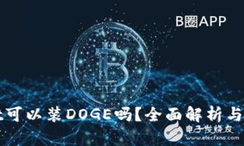 tpWallet可以装DOGE吗？全面解析与使用指南