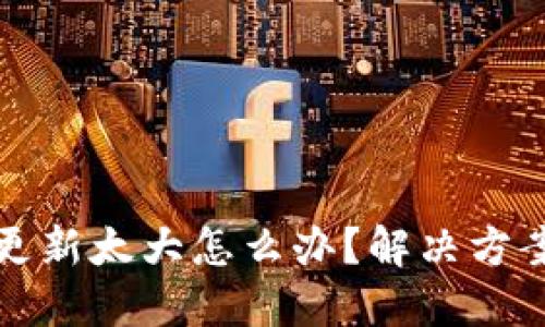 比特币钱包更新太大怎么办？解决方案与实用技巧