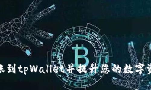 如何轻松转账到tpWallet并提升您的数字资产管理体验